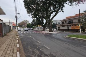 avenida1