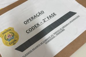 codex
